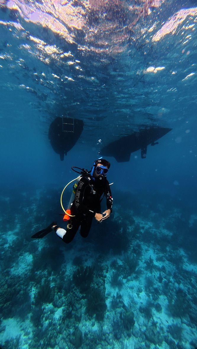 Diver descending toward a reef beneath the dinghy and Laurelli