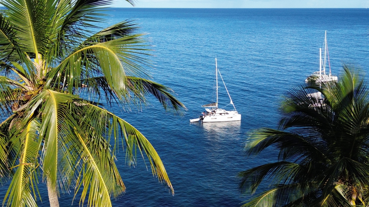 Laurelli at anchor, framed by palm trees