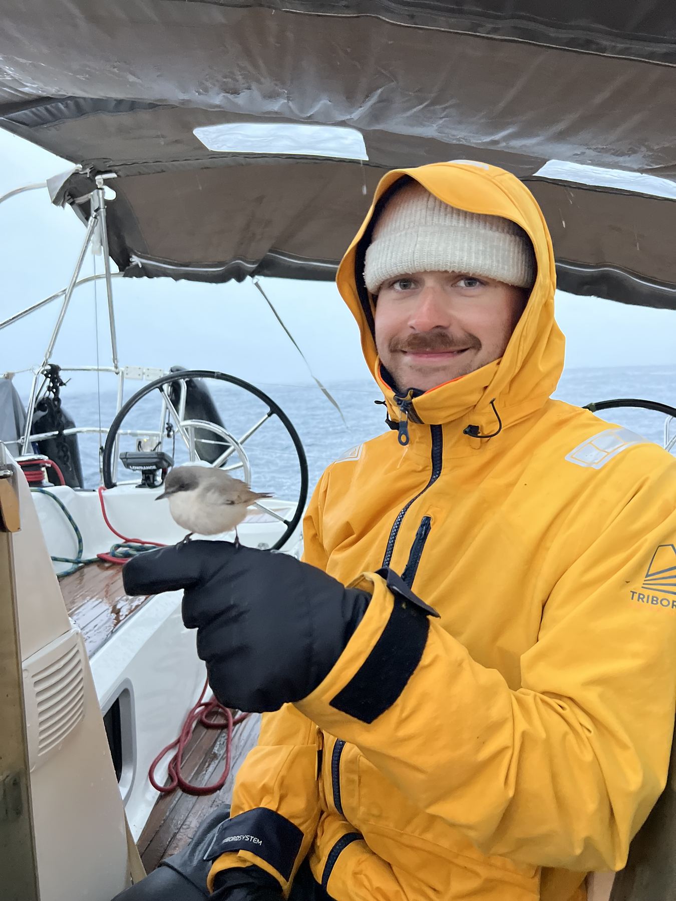 Felix with a small bird that landed on the boat during an offshore passage